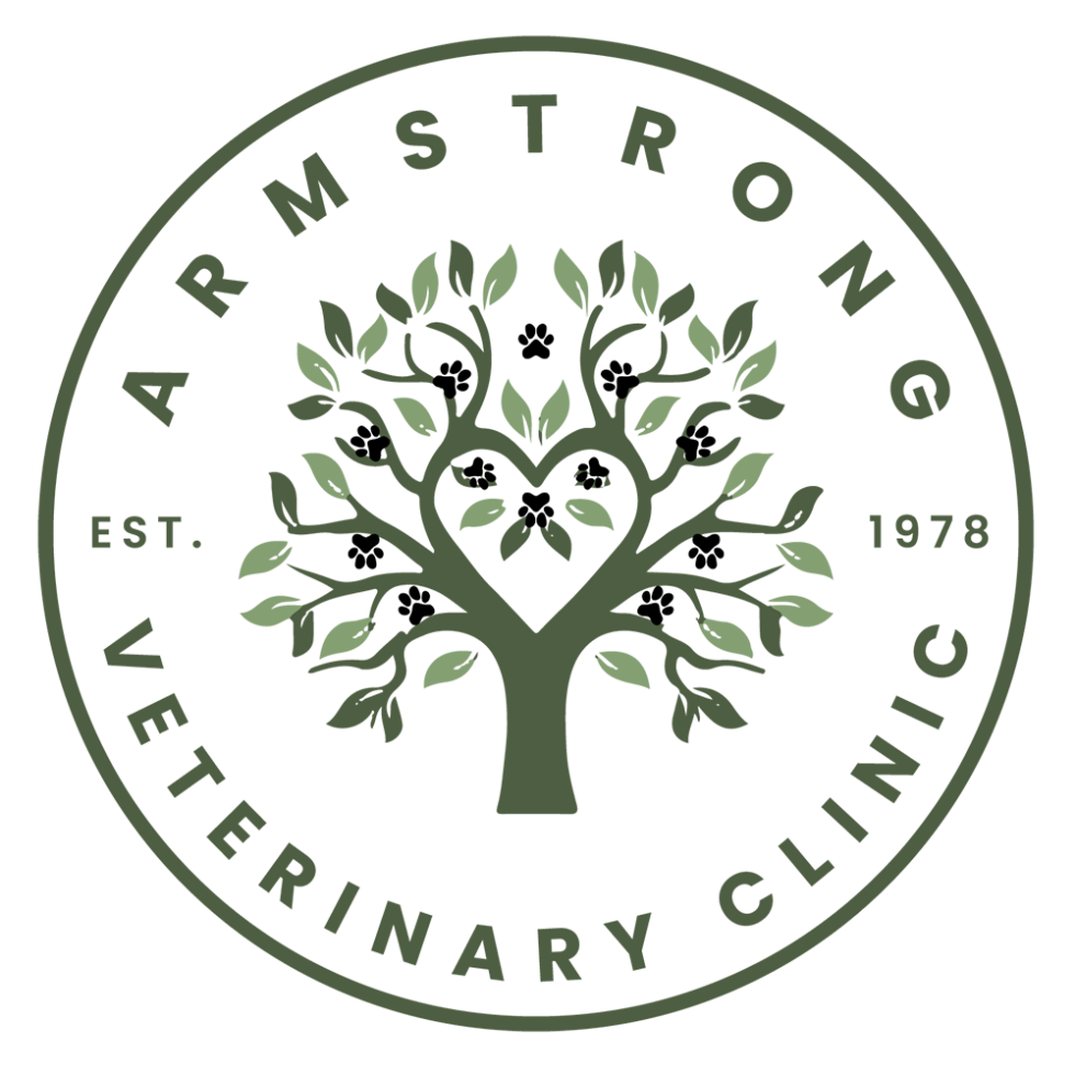 Veterinary appointment in armstrong bc armstrong vet